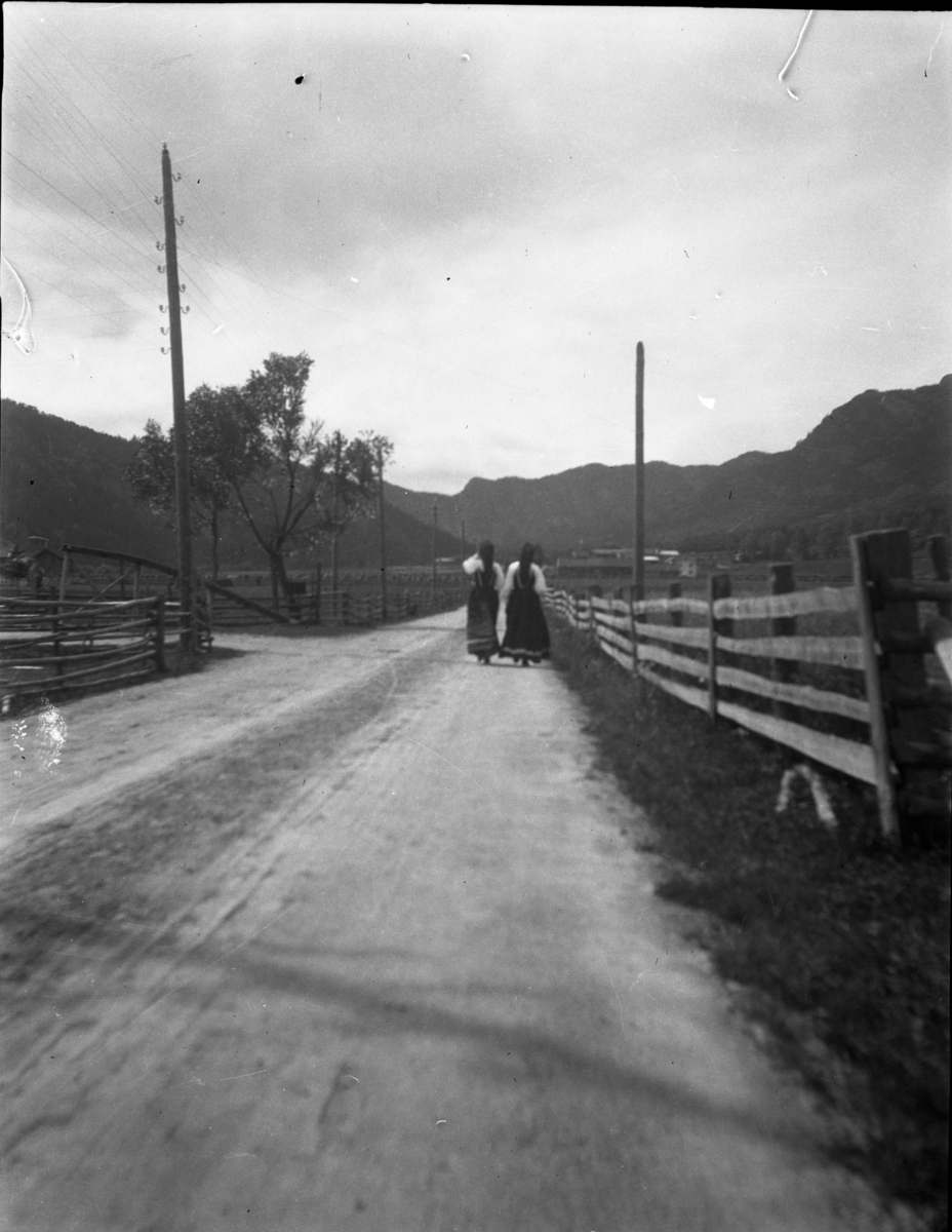 Rikard Berges fotoarkiv. Folk i bunader og klesdrakter fotografert på fjellet, 1905. Bildene er tatt av Johanna Bugge Berge. Bilde nr. 12 ant. Spellemannen Hans Smeland fra Seljord. Bilde nr. 21 ant. 17 mai, Seljord kirke.