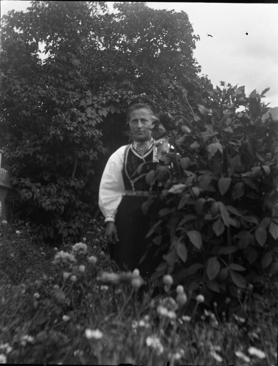 Rikard Berges fotoarkiv. Folk i bunader og klesdrakter fotografert på fjellet, 1905. Bildene er tatt av Johanna Bugge Berge. Bilde nr. 12 ant. Spellemannen Hans Smeland fra Seljord. Bilde nr. 21 ant. 17 mai, Seljord kirke.