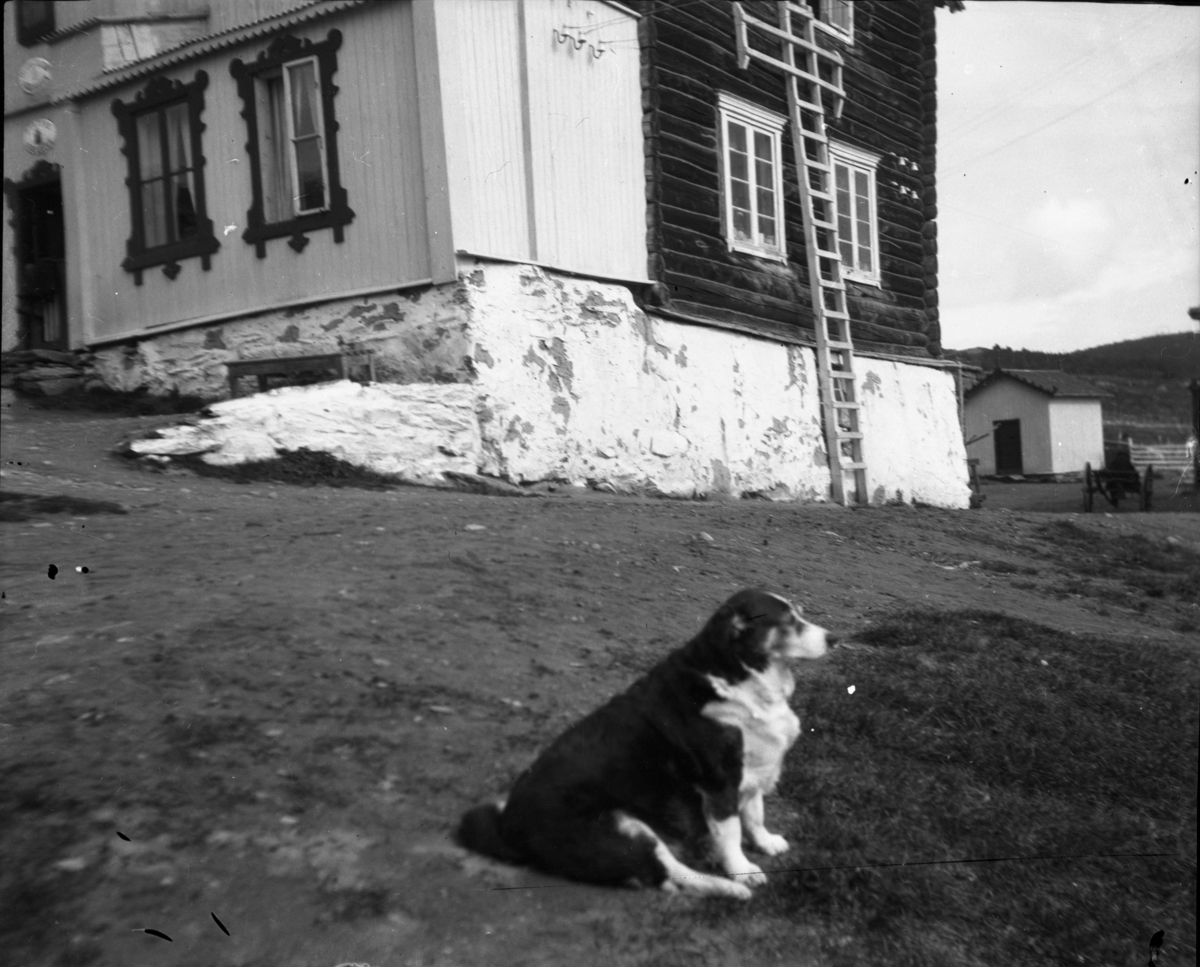 Rikard Berges fotoarkiv. Landskapsbilder og portretter.