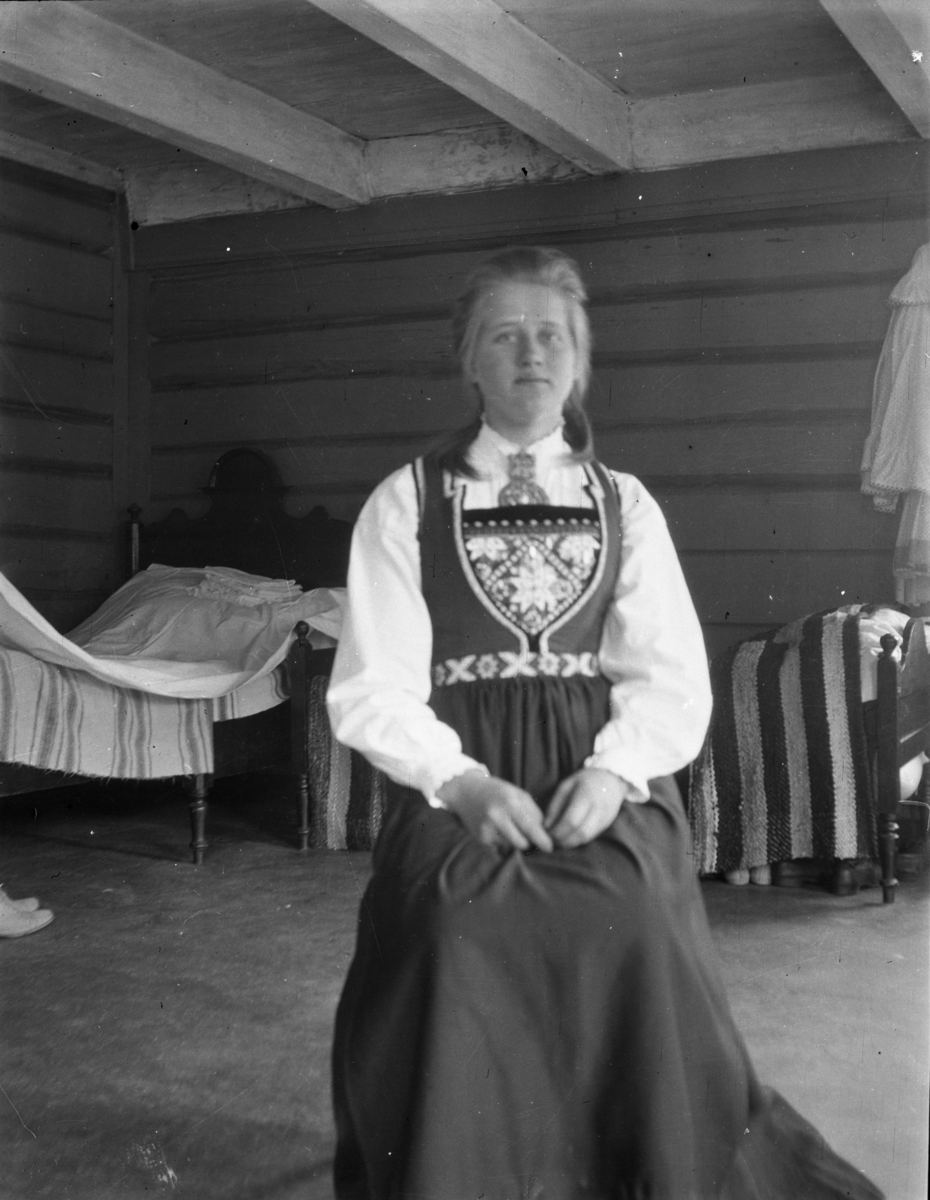 Rikard Berges fotoarkiv. Folk i bunader og klesdrakter fotografert på fjellet, 1905. Bildene er tatt av Johanna Bugge Berge. Bilde nr. 12 ant. Spellemannen Hans Smeland fra Seljord. Bilde nr. 21 ant. 17 mai, Seljord kirke.