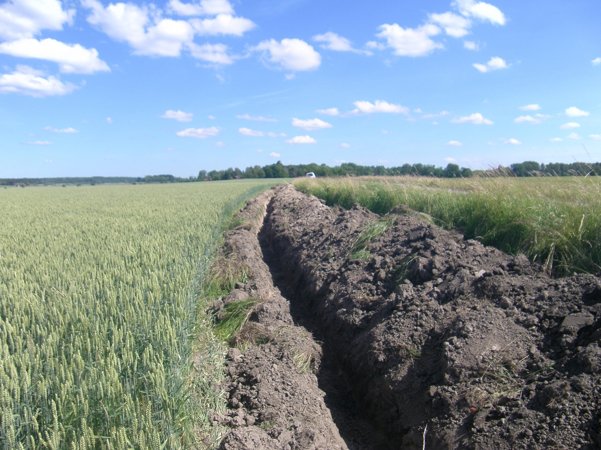 Arkeologisk schaktningsövervakning, schakt längs Ärnavägen, Gamla Uppsala, Uppland 2017