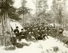 Grupporträtt av officerare och soldater vid Västerbottens regemente I 20, Umeå 1900.