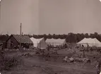 Flyttbart läger vid skogsafverkning (skogsavverkning). (Michigan). Ur album Fotografier från amerikanska Träkolshyttor 1905/1906.