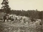 Finnvikskabeln. Schaktningsarbete i terräng med Lf. Johanssons lag. Ur albumet Kabelarbetet Hjälmsälra (Hjälmsättra) - Norrtälje -  Finnviken utfört under sommaren 1928.