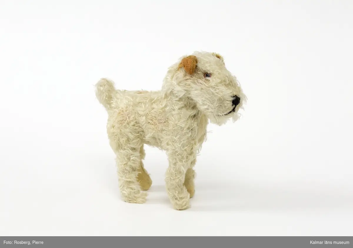 KLM 28494:36 Leksakshund, klädd med plysch. Sydd svart nos, ögon av glas. Kort stubbsvans.