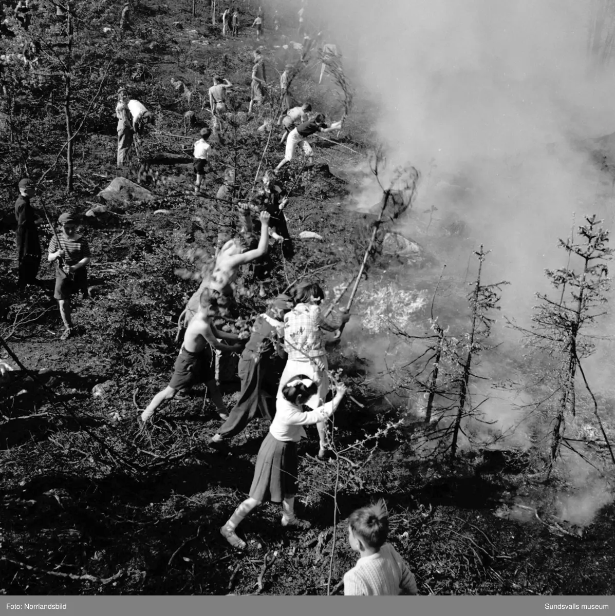 Hyggesbränning. Människor med risruskor jobbar med att begränsa elden. En brandman dricker ur vattenslangen.  Okänd ort.