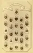 Infanterivolontärskolan 1886-1887.