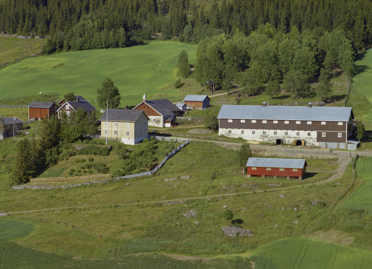 Øyer, Nord-Tretten. Vedem Gård (Vedum Gård) Stor, brunmalt driftbygning med hvit grunnmur, til venstre for den, en annen stor driftsbygning i rødt med hvit grunnmur. Et stort, toetasjes grågrønt våningshus med inngjerdet kjøkkenhage på nedsiden og til venstre for dette, enda et våningshus, brunt med hvite vinduskarmer. Diverse rødmalte bygninger på gården. Dyrket mark rundt, Nord-Trettenvegen på nedsiden av driftbygningen og skog i øvre kant av bildet.