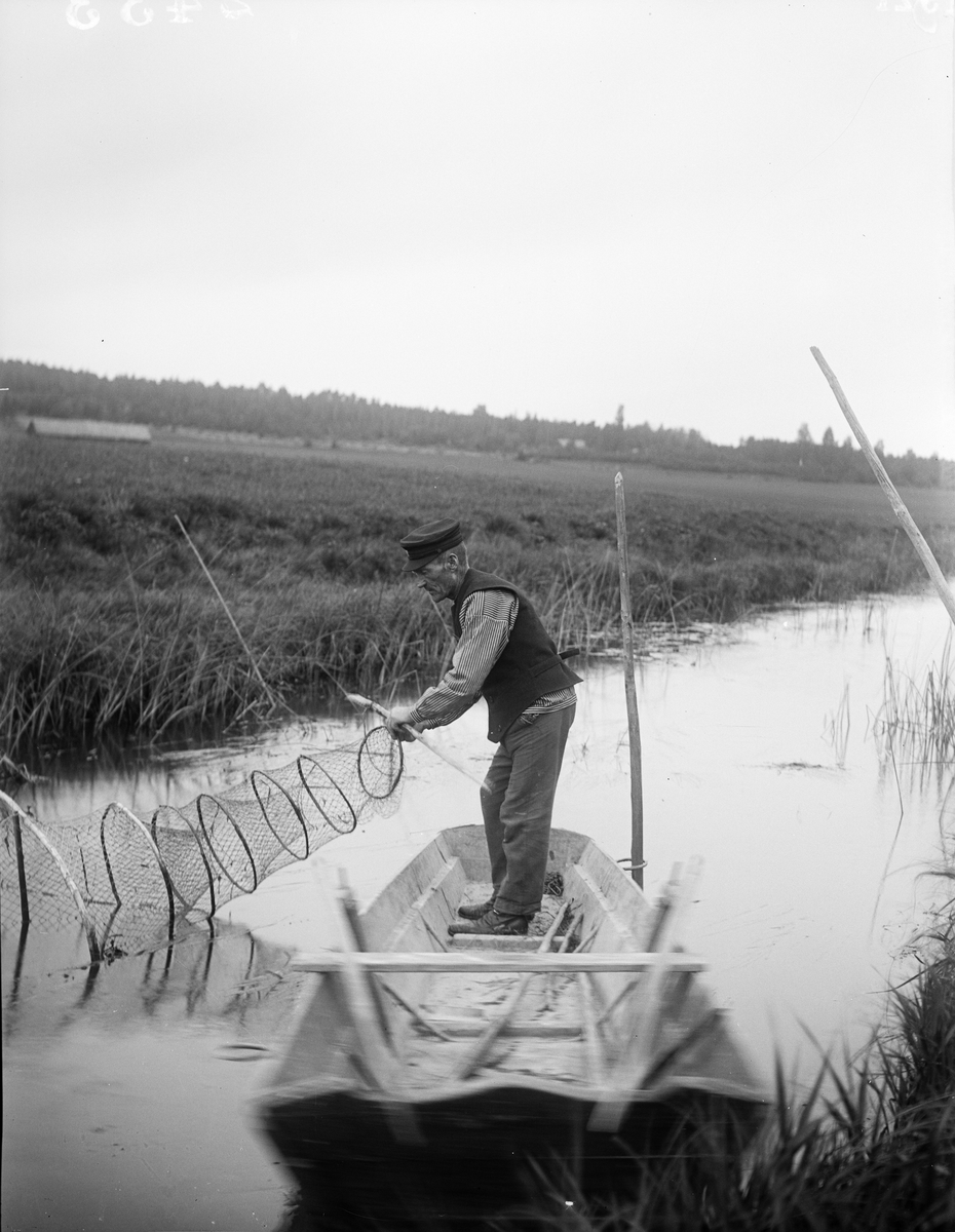 "Alinder vickar en ryssja", Altuna socken, Uppland 1921