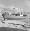 Den 27 januari 1954. Gävle Varv. Båten M/S Lombardia