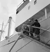 Den 27 januari 1954. Gävle Varv. Båten M/S Lombardia