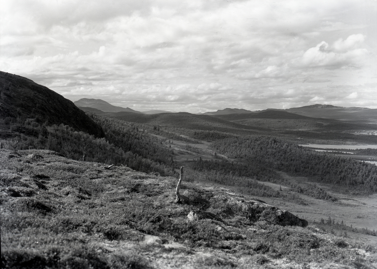 Fullsenn, Valdres.