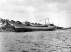 Byggenr. 40 v. LMV: Balduin
3: Nyblin