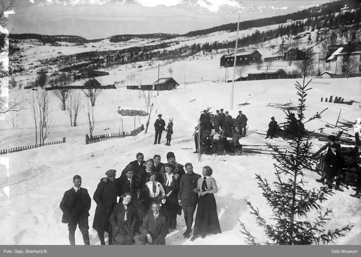 kulturlandskap, snø, gruppe, hotellgjester, vinterferie, ski, gårder, skog, fjell