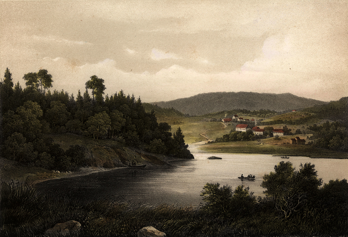 landskap, fjord, spredt bebyggelse