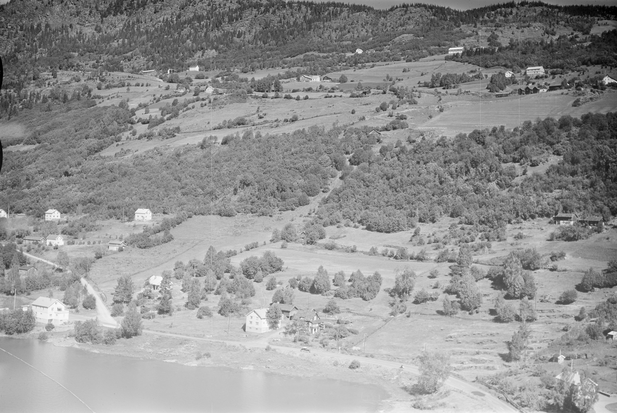 Blomberg gård (usikker), Østsida, Øyer, 16.07.1959, oversiktsbilde, li, kulturlandskap, jordbruk, slåttonn, hesjing, blandingsskog, vann