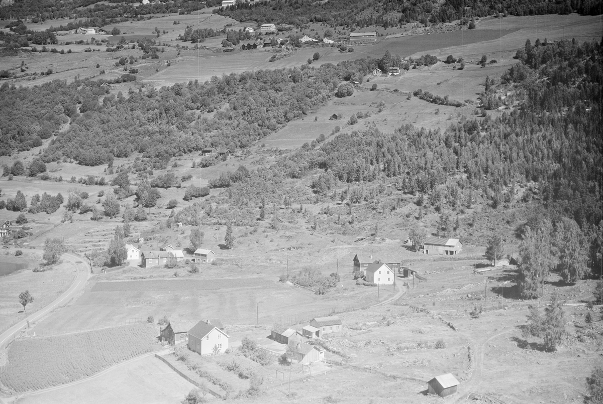 Odden gård, Østsida, Øyer, 16.07.1959, oversiktsbilde, foto viser flere bruk, li, kulturlandskap, jordbruk, slåttonn, hesjing, blandingsskog, vann