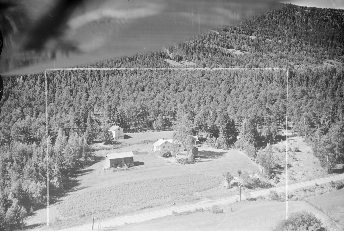 Branborg gård, Vestsida, Øyer, 16.07.1959, li, kulturlandskap, jordbruk, liten gård, blandingsskog