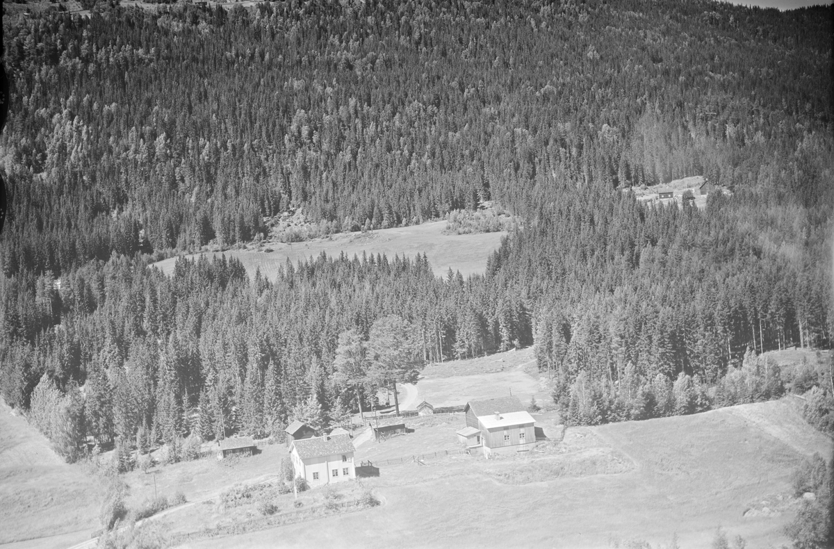 Viktunet-søre, Nordmedlia på Tretten