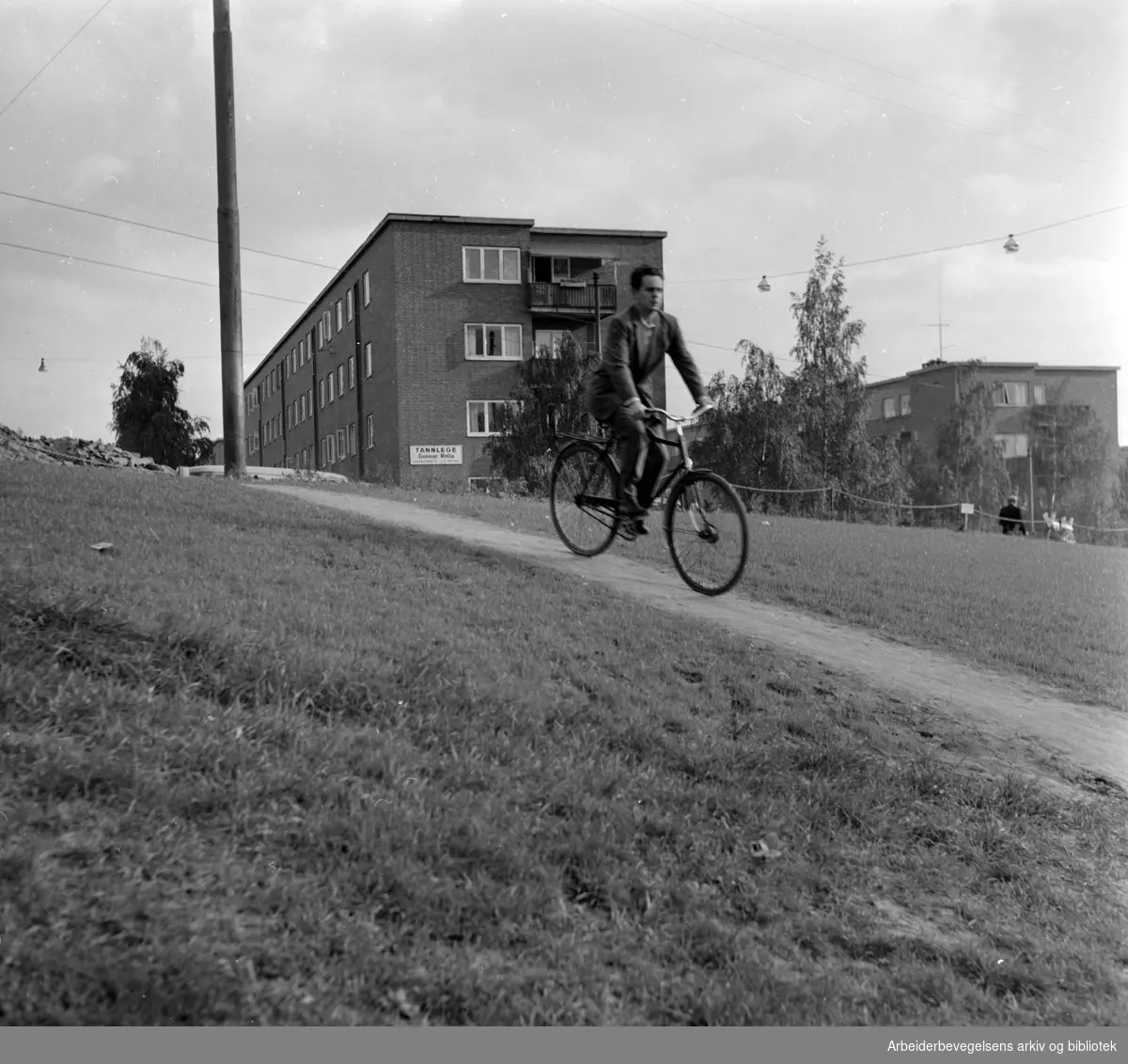 Torshovdalen park. Gangsti. September 1960