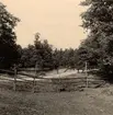 Parti från Folkströms Bruk, Östergötland, 1946.