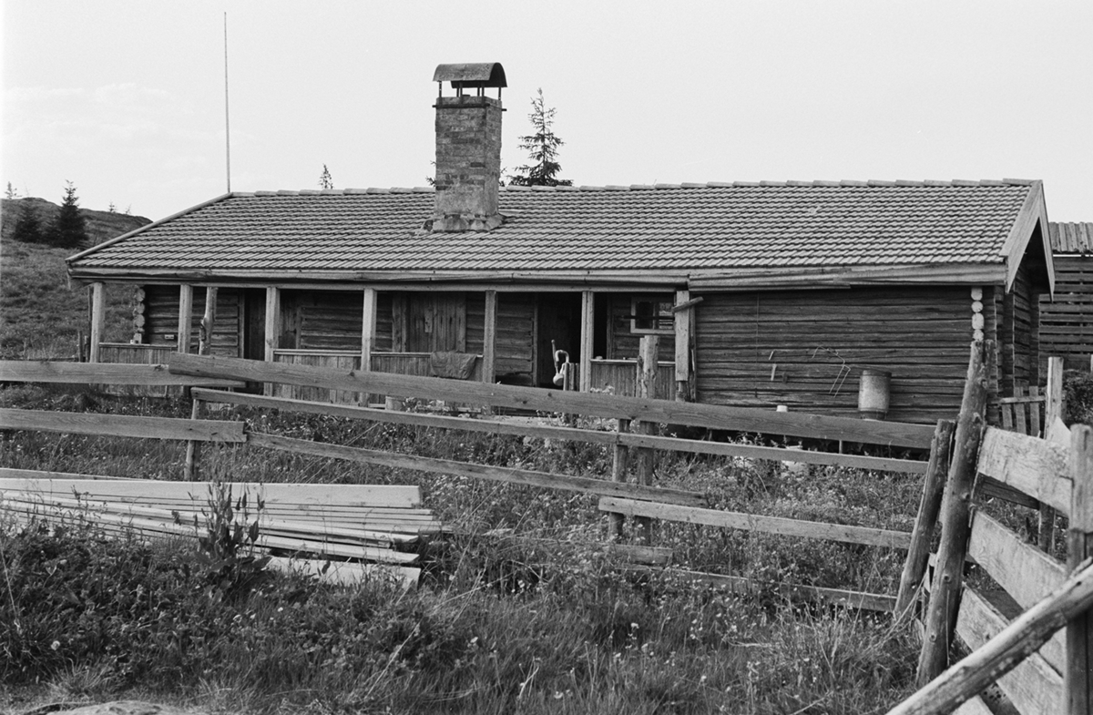 Lavlia, Romedal Allmenning. Seterbruk på Hedmarken.
