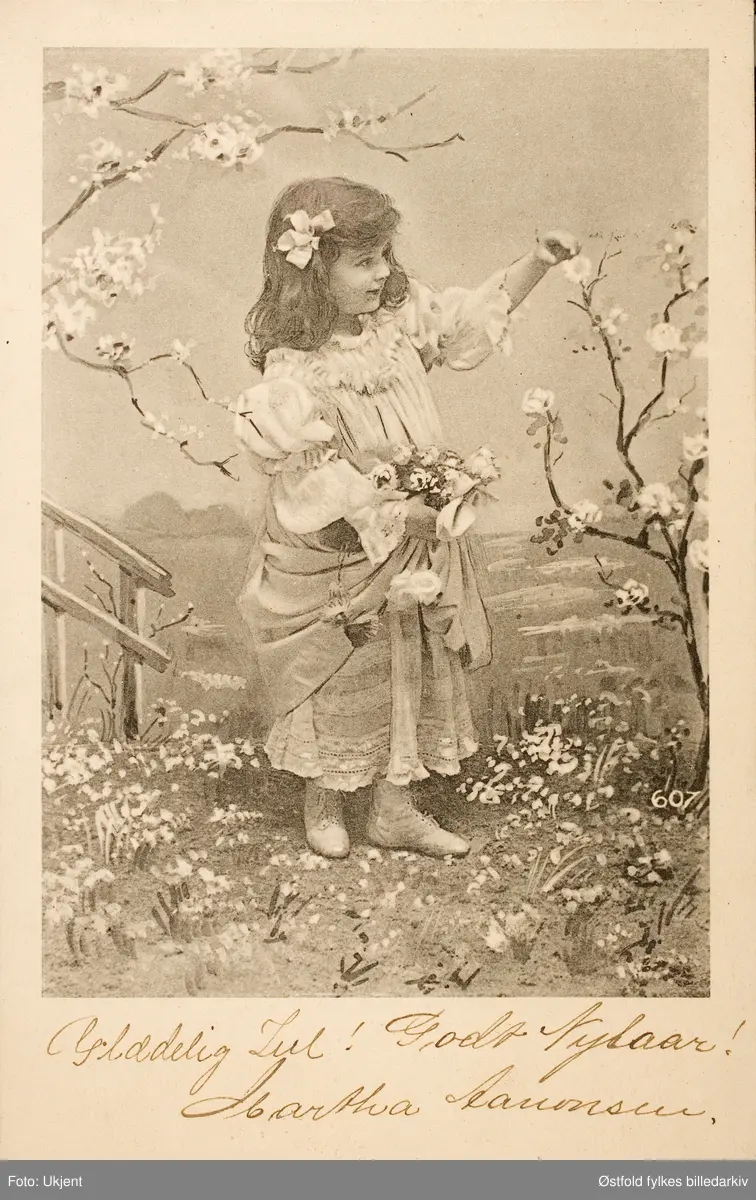 Postkort, kolorert lystrykk, tegning av jente som plukker blomster fra tre. Brukt som julekort. 
Påskrift: Glædelig Jul! Godt Nytaar! Martha Aanonsen.