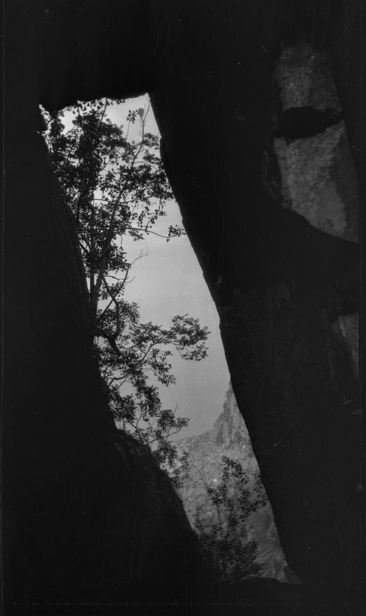 Lindtner, Per Årseth, Ådne Skretting og fotografen Finn Johannessen på tur til Bårebergnibbå øst for Hjelmeland i Ryfylke.