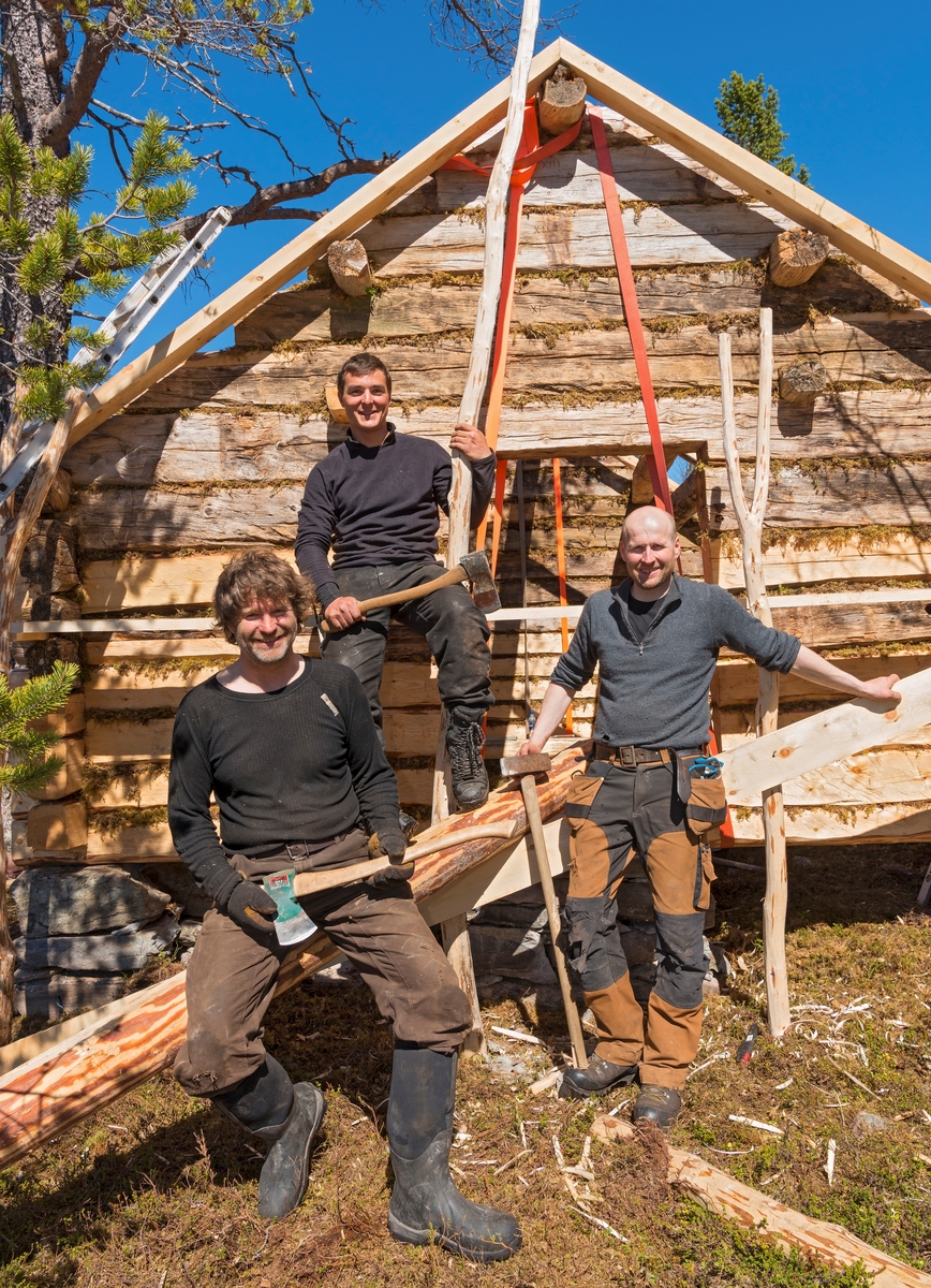 Arbeid med å sette opp buret på Daniel Mortenssons vinterboplass ved Kjerran på Valdalsfjellet, Engerdal. Daniel Mortensson. Byggearebeid. Tømring. Fra venstre Geir Idar Hjelvik (1962-), Alban Vallery (1989-) og Sjur Åsgård ( 1978-). Rekonstuksjon av Daniel Mortensons vinterboplass. Rekonstruksjon av samisk boplass. I følge Jonas Danielsen ble Daniel Mortensons vinterboplass oppført i løpet av perioden 1900— 1902. Svahken Sijte hadde et ønske om å gjenreise en vintergamme, daelvie-gáetie, og et bur i nærheten av den gamle tufta. Gamma og buret sto ferdig i begynnelsen av juni 2017, og åpningen inngikk i jubileumsmarkeringen for samenes første landsmøte i 1917, Tråante 2017. Samisk vinterboplass. Samisk kultur og historie. Daniel Mortenson. Daniel Mortensson.