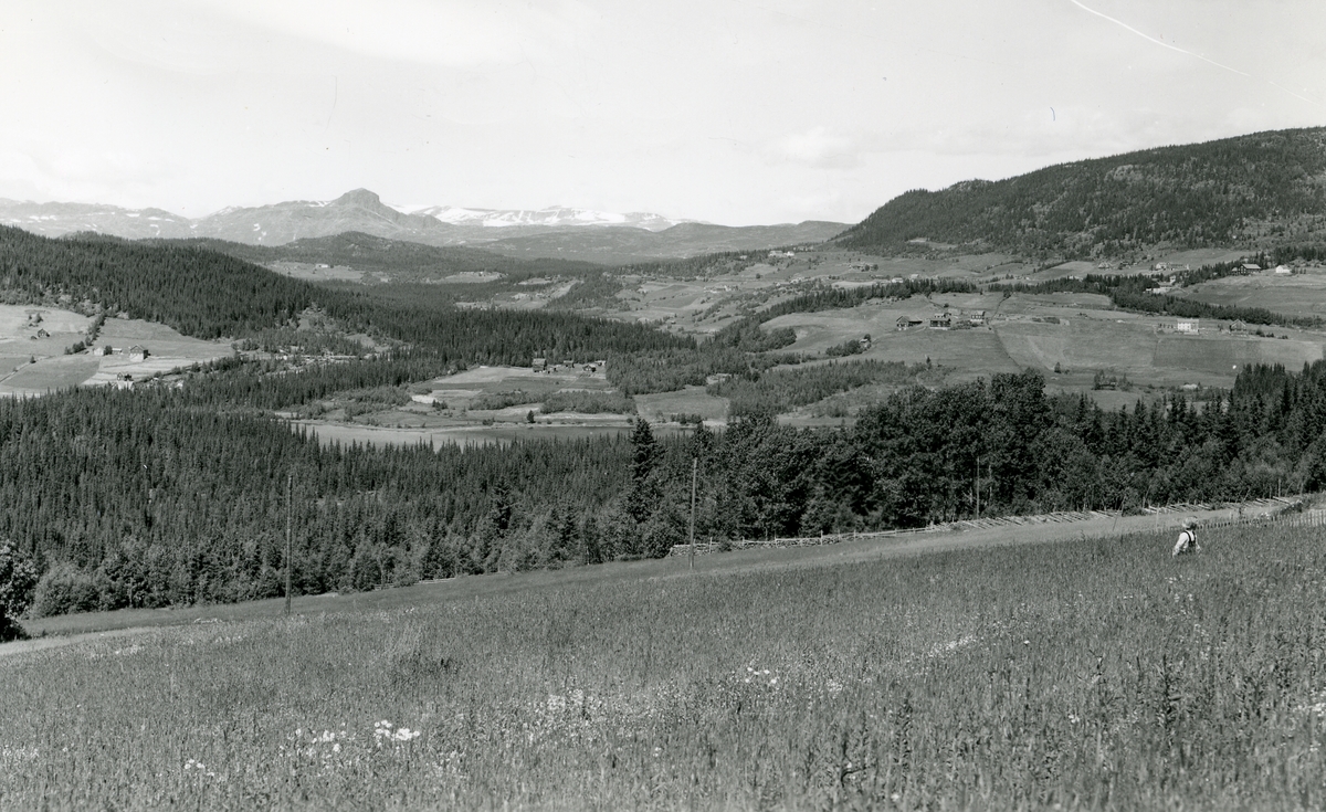 Utsikt mot Bitihorn og Skammestein, Øystre Slidre.