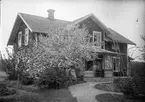 Bostadshus med blomstrande trädgård, sannolikt Svensgården, Dalarna