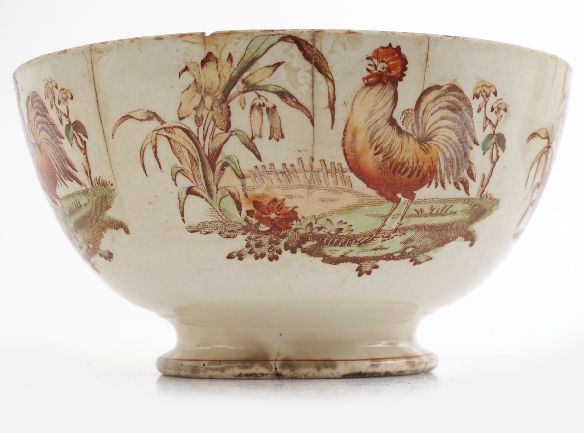 Haan (hane)./ hane og lilje.