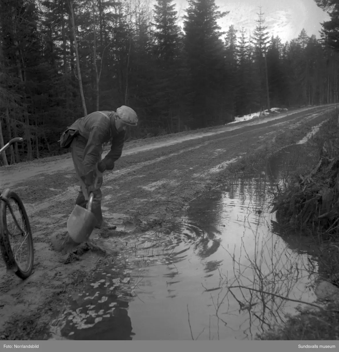 Besvärligt och lerigt väglag våren 1950 för bilförare och cyklister på vägen mellan Torpshammar och Hassela.
