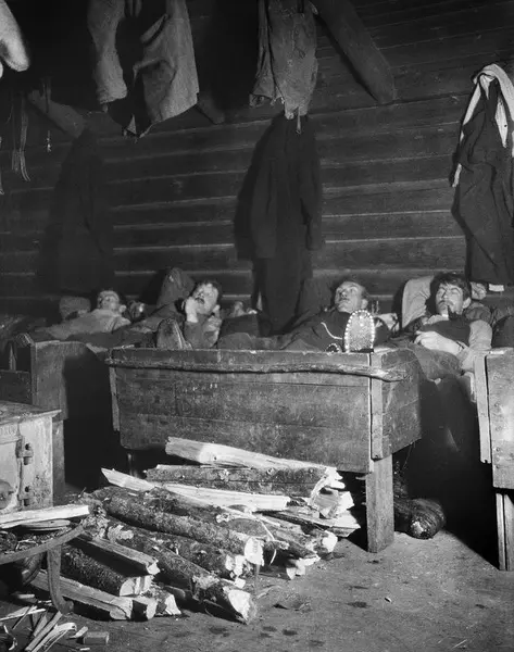 Tømmerhuggere som hviler på bresker i ei koie. Foran ser vi ovn og ved som er lagt opp til fyring. Bak henger klær til tørk