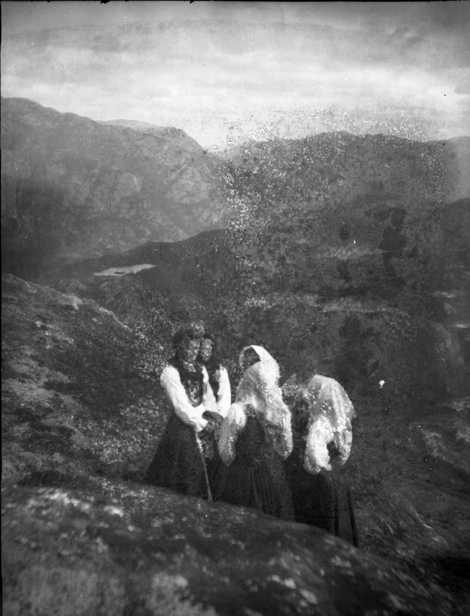 Rikard Berges fotoarkiv. 8 negativer. Gruppe mennesker på fjellet, kvinner i bunader.