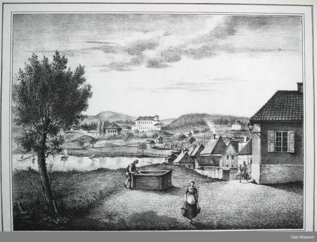 arkitektur, småhus, kvinne, vassåk