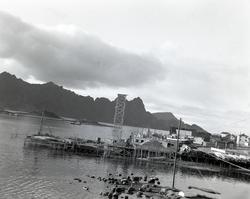 Bygging av Myre Fryseri i Øksnes ca. 1953