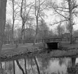 Den 18 maj 1965. Stadsträdgården.