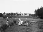 Skördebild från Pålholen, Ytternäs fr. v. Hilma Larsson 1885 - 1964. Britta Halvarsson 1842 - 1932 Gustava Larsson 1887 - 1974. Lilly Larsson 1909 - 1946, Johanna Larsson 1881 - 1957, David Johansson 1911 -  Gunnar Larsson 1911 - 1991