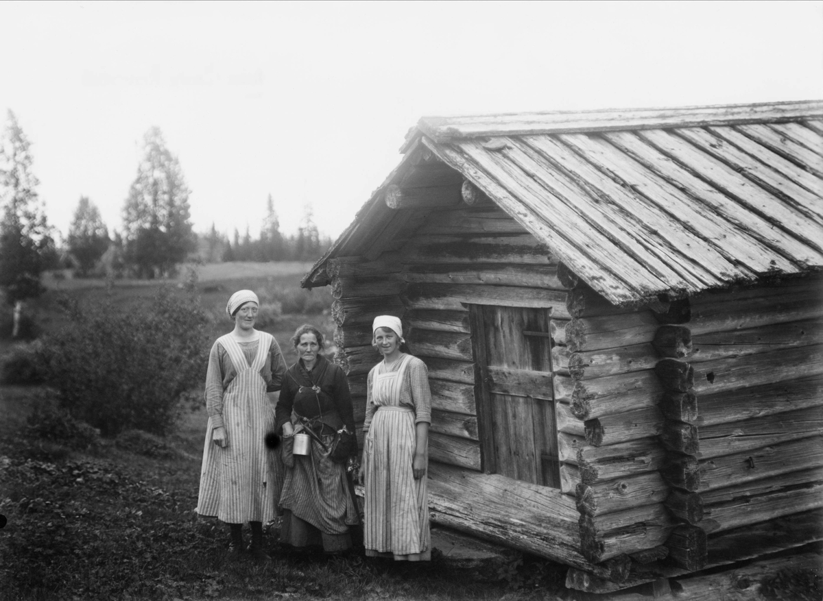 Från Södra Fenningbergets fäbod. Fäbodskullor: Gattare enligt äldre neg. kuvert. Berta Mojanis, Maja - Brita Larsson, Olmångs - Märta