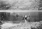 Kvinnor, män och pojkar drar upp fiskenät till stranden från vatten, sannolikt i Norge