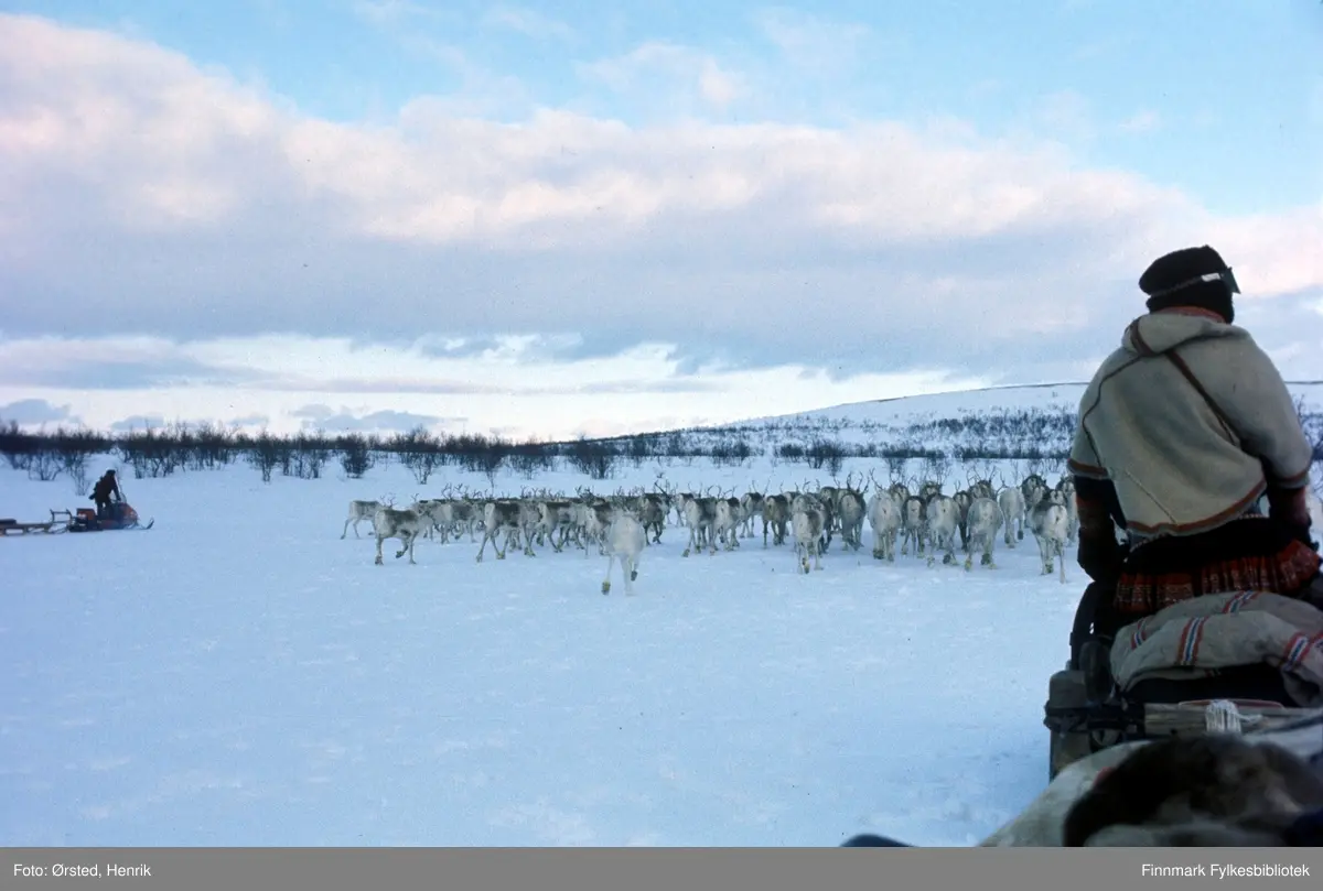 Postfører Mathis Mathisen Buljo, bedre kjent som "Post-Mathis" i samiske kretser, har kommet frem med post til reindriftssamer som er i arbeid ute på Finnmarksvidda. Reinflokken er i bevegelse foran skuteren. Bildet må være tatt etter 6.2.1974 siden snøscooter, den sorte med gult, er registrert på denne datoen. Den røde er registrert høsten 1973. Denne informasjon har kommet fra publikum/Digitalt Museum bruker.

Fotograf Henrik Ørsteds bilder er tatt langs den 30 mil lange postruta som strakk seg fra Mieronjavre poståpneri til Náhpolsáiva, videre til Bavtajohka, innover til øvre Anárjohka nasjonalpark som grenser til Finland – og ruta dekket nærmere 30 reindriftsenheter. Ørsted fulgte «Post-Mathis», Mathis Mathisen Buljo som dekket et imponerende område med omtrent 30.000 dyr og reingjetere som stadig var ute i terrenget og i forflytning. Dette var landets lengste postrute og postlevering under krevende vær- og føreforhold var beregnet til 2 dager. Bildene gir et unikt innblikk i samisk reindriftskultur på 1970-tallet. Fotograf Henrik Ørsted har donert ca. 1800 negativer og lysbilder til Finnmark Fylkesbibliotek i 2010.