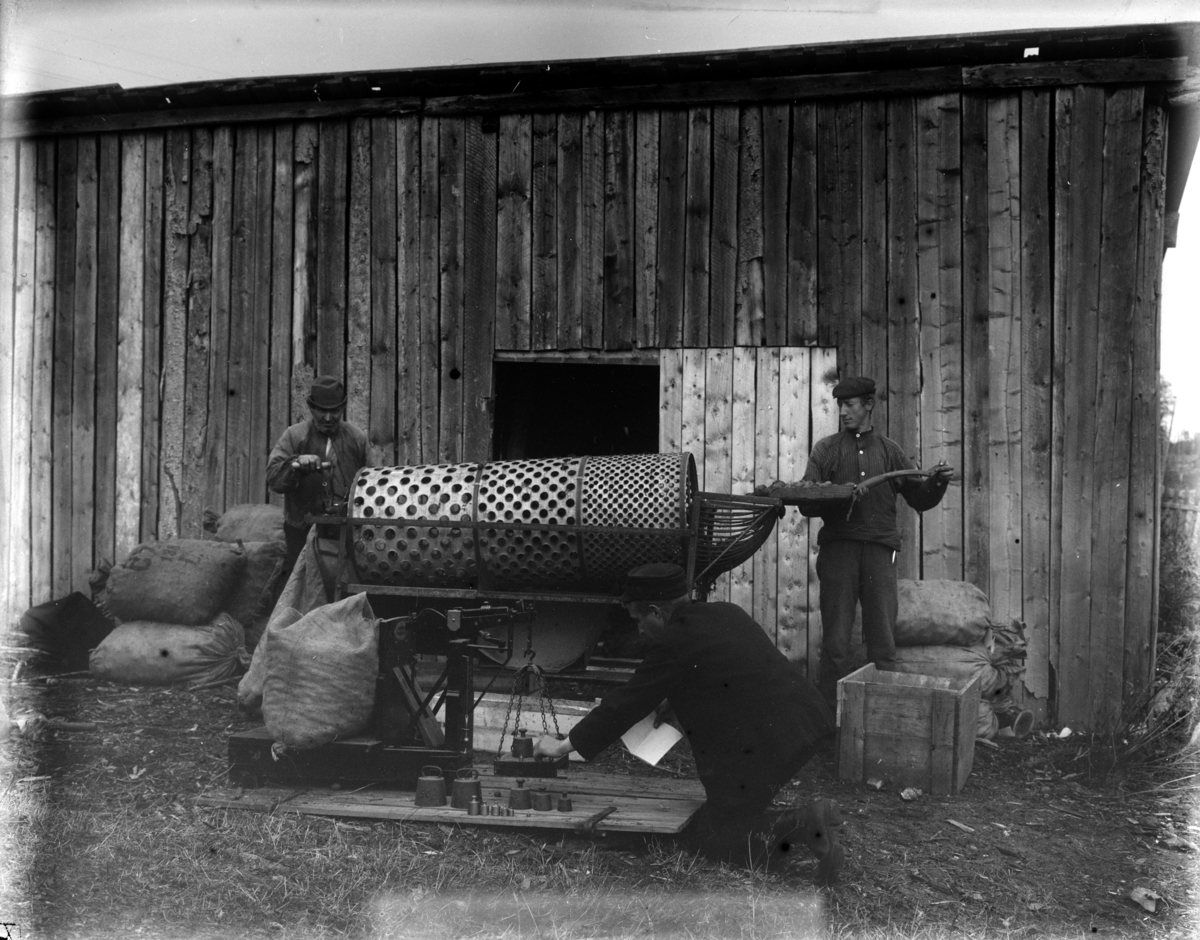 HHB-13528