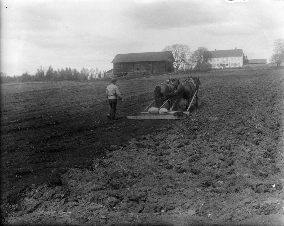 Møystad gård, Vang H. Piggslådd, hesteredskap. Jordbruk, åker, hester,tospann, slådding.