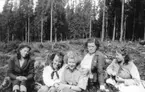 Plantsättarlag.
Fr.v: Solveig Andersson, Öjeberget
         Valborg Jansson, S:a Finnskoga
         Ellen Persson, S:a Finnskoga
         Ida Axelsson, Kringsberget
        Margit Persson, Kärrfall f. 1935
Fotot taget på 1950-talet.