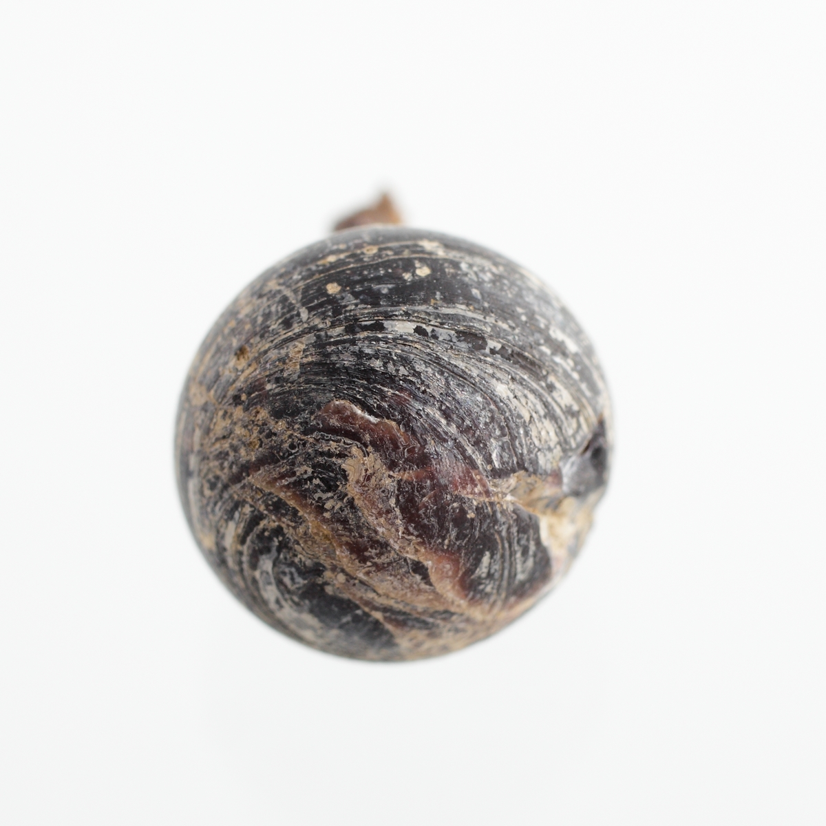 Klotformad knapp av svart, opak glasfluss med vit marmorering. Matt glasyta. En stump av järnöglan sitter kvar. Tidigare tolkad som en recent nål. Se Referenser/Digitala objekt för liknande knapp i 1500-1600-talskontext.