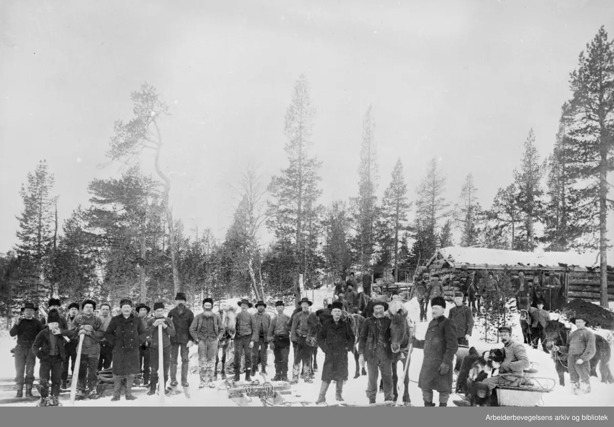 Stor tømmerdrift, øst for Femunden ca. 1900.