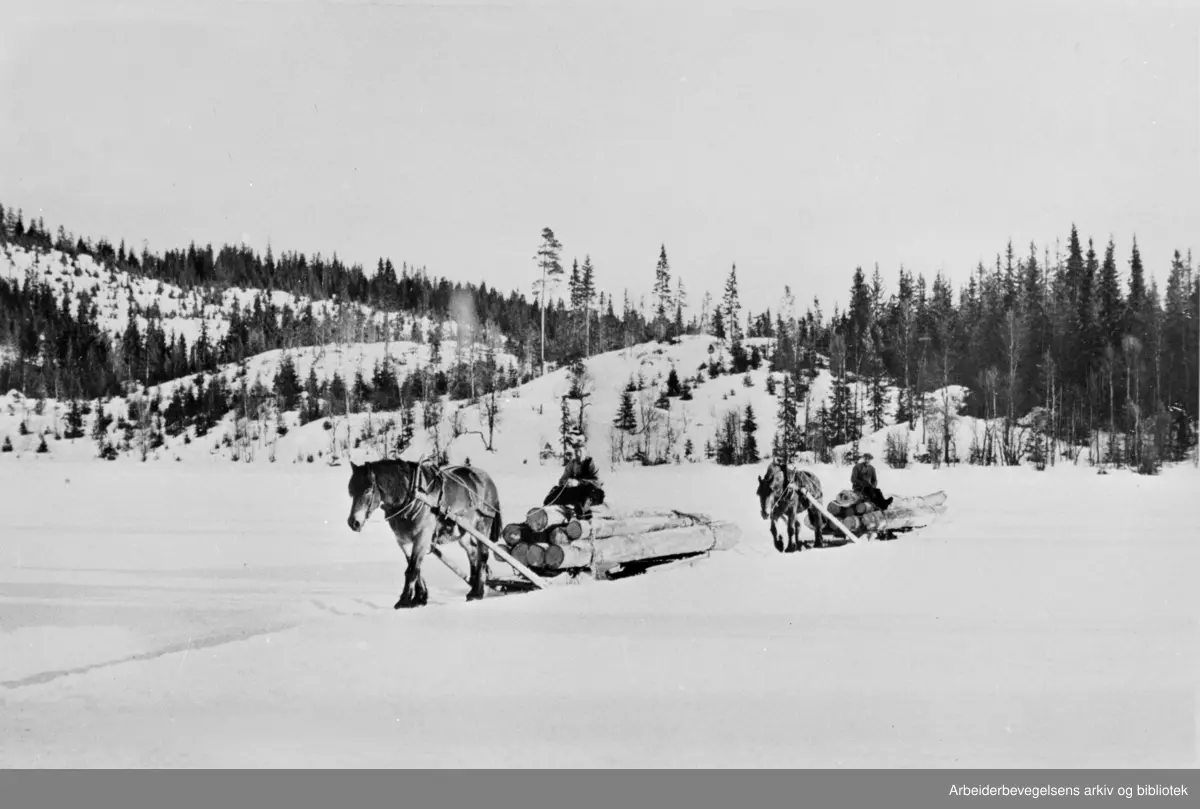 Tømmerkjøring med geitdoning ved Grastjernet i Romedal ca. 1955.
