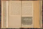 Stora Kopparbergs bergslag.
Christopher Polhem och Gustaf Wasa.
Ur Carl Sahlins bergshistoriska samling.