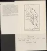 Kiirunavaara.
Kirunagruvans kronologi.
Ur Carl Sahlins bergshistoriska samling.